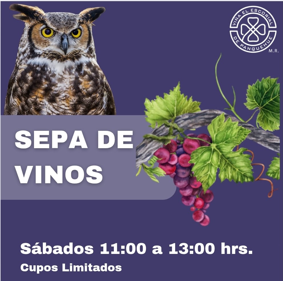Sepa de Vinos